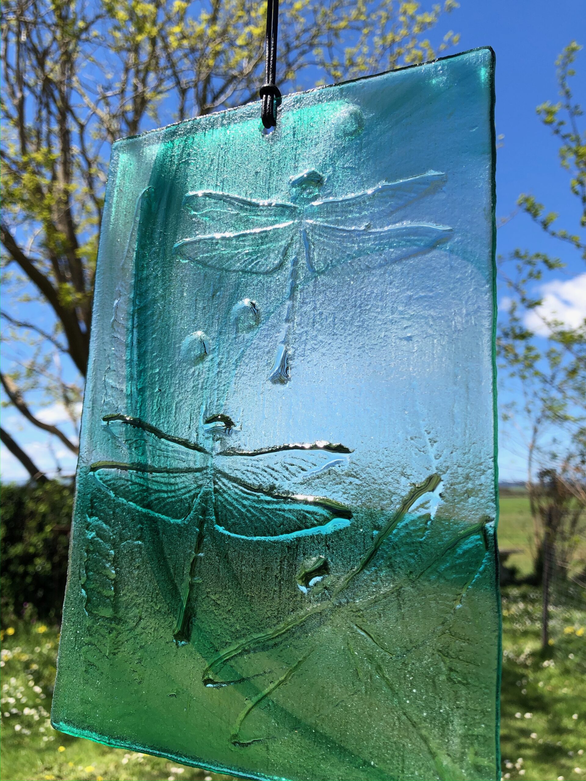 Glass Dragonfly